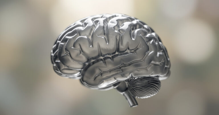 Introversion et matière grise : ce que dit la science